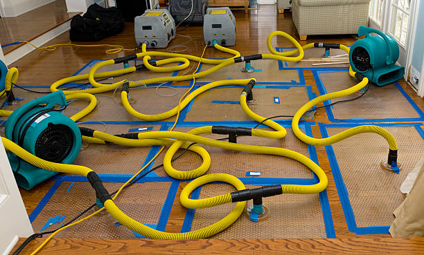 Professional Crawl Space Water Removal technician working in Runge, TX
